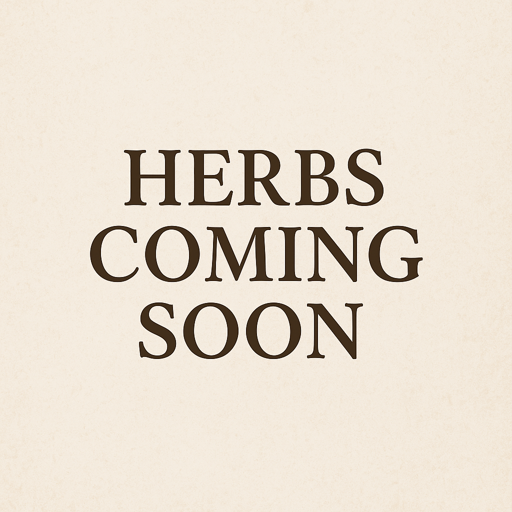 Tulsi Leaf (Holy Basil) – Loose Leaf Herb – Stress Relief & Adaptogen