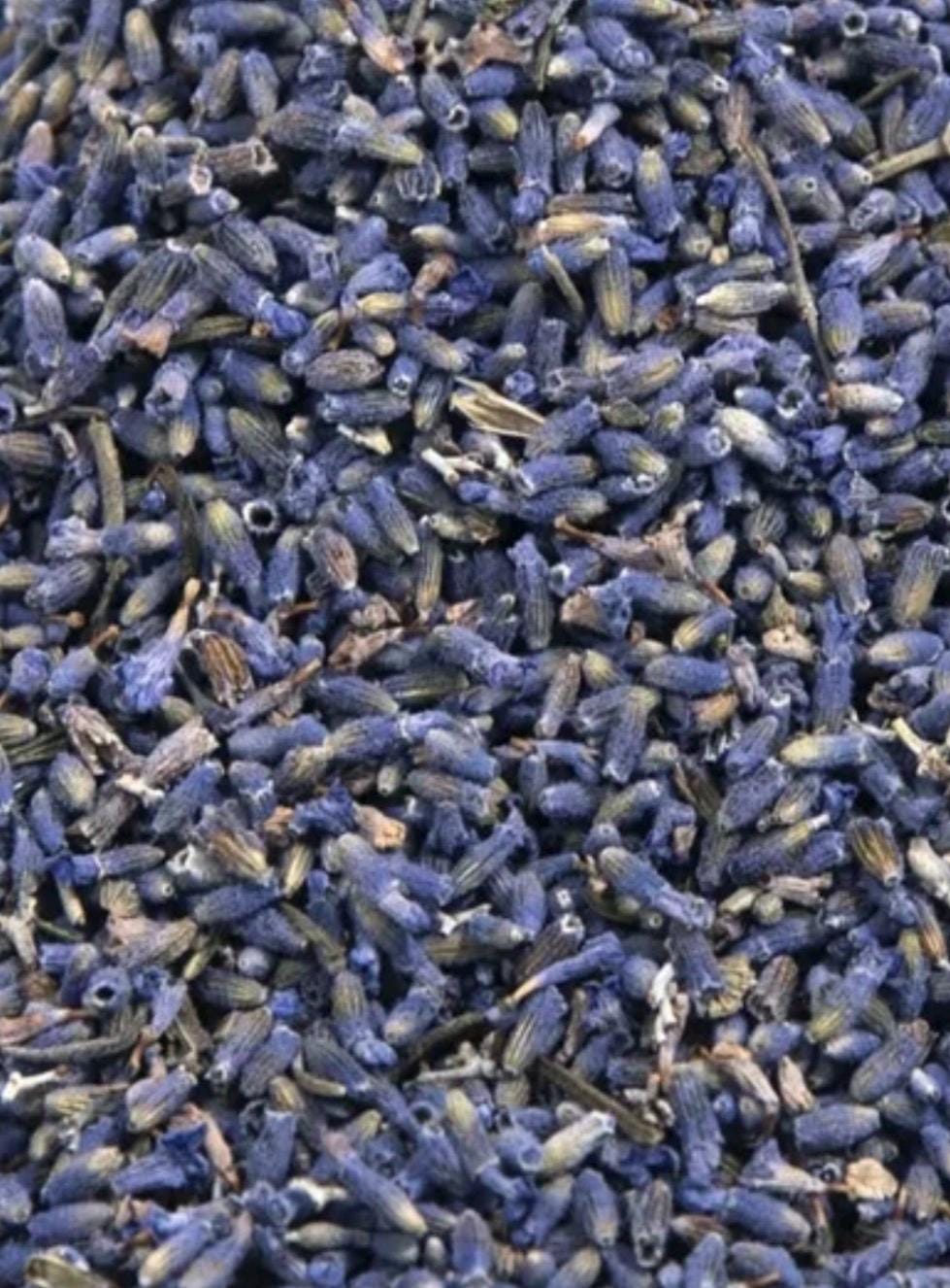 Lavender Buds – Loose Herb – Relaxation, Sleep & Spiritual Calm 1oz.