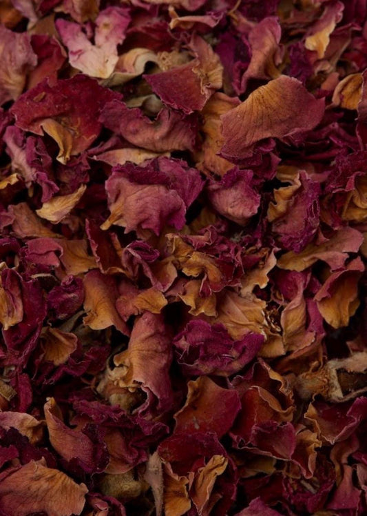 Dried Rose Buds & Petals – Loose Herb – Skin, Heart, Ritual Wellness 1oz.