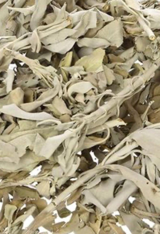 White Sage (Salvia apiana) – Loose Herb for Smoke Cleansing, Purification & Energy Clearing 1oz.