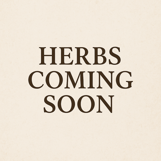 Glucose Guardian – Herbal Pancreas & Blood Sugar Support Blend
