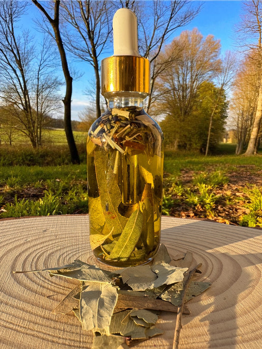 Botanical Barrier - Herbal Mosquito Repellent Body Oil 2oz.