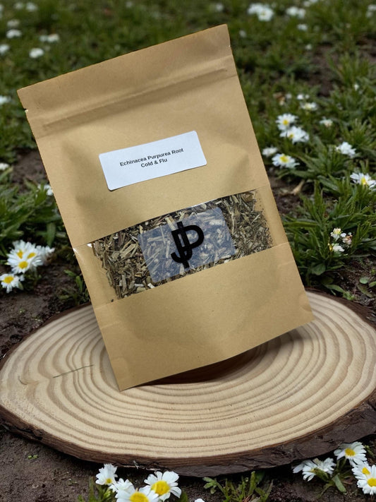 Echinacea Purpurea Root – Immune & Inflammation Support | Loose Herb | Dried | 1oz