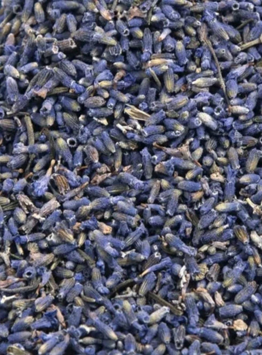 Lavender Buds – Loose Herb – Relaxation, Sleep & Spiritual Calm 1oz.